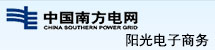 中國南方電網-陽光電子商務